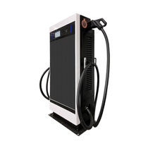 Estación de Carga CCS GBT NACS DC de 180kW con Pantalla LED Grande para Publicidad, Gestión Remota OCPP JSON para Estaciones de Autobuses WrightCharge
