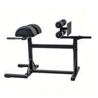 Chaise romaine réglable professionnelle pour salle de sport, banc d'hyperextension, machine d'extension dorsale, équipement d'entraînement de force en métal