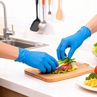 Gants en nitrile jetables sans poudre, couleur personnalisée, sans silicone, pour la transformation alimentaire, le laboratoire, l'industrie, imperméables, résistants à l'huile