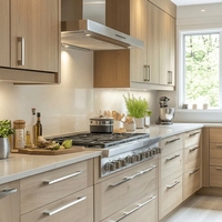 Ensemble complet d'armoires de cuisine modulaires modernes en bois massif RTA avec rangement de garde-manger écologique, étanche et plat