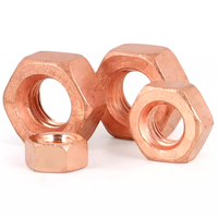 M3 M4 M5 M6 M8 M10 M12 T2 Écrou hexagonal hexagonal en cuivre rouge massif Écrous conducteurs en bronze de silicone pour armoires de communication