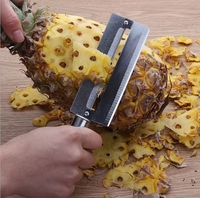 Hoge kwaliteit roestvrijstalen ananas schiller en snijder / mes / schilverwijderaar