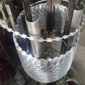Filo di filo spinato zincato diretto della fabbrica di filo spinato filo di rasoio per la sicurezza cina vendite dirette - Product Image 4