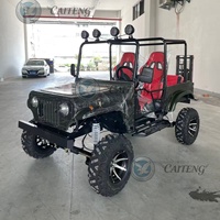 Caiteng 200cc 250cc 300cc Buggy Électrique Mini Jeep Véhicule Tout-Terrain Chariot à Essence pour Adultes Quatre Roues Motrices Montagne Automatique