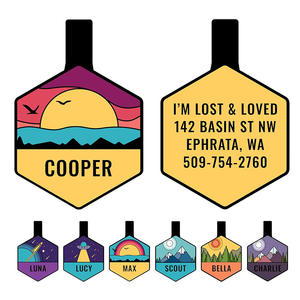 Etiquetas de Identificación Personalizadas de Silicona para Perros y Gatos - Etiqueta de Identificación Duradera, Impermeable y Elegante para Perros con Grabado Gratuito - Product Image 1