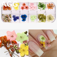 Mttuagg — capsules sèches en vrac pour ongles, 12 couleurs, pour Gel 3D acrylique, faux ongles décorations de haute qualité