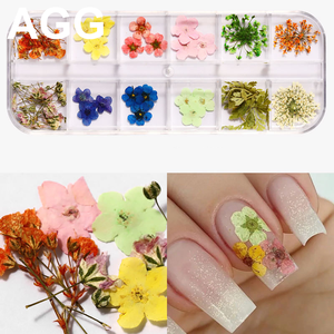 <span class=keywords><strong>AGG</strong></span> di Alta Qualità 12 di Colore Reale Bulk Secchi Fiore Secco per 3D Gel Acrilico Punte False Del Chiodo Decorazioni di Arte - Product Image 4