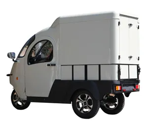 Tricycle électrique pour cargo, moteur de 2500W, 3 roues, droit de rue intelligent, livraison gratuite