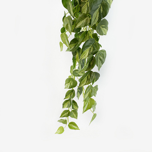 <span class=keywords><strong>Feuille</strong></span> de <span class=keywords><strong>patate</strong></span> <span class=keywords><strong>douce</strong></span> simulée et ensemble extérieur de décoration murale en rotin - Product Image 3