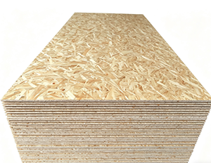 La Fábrica de <span class=keywords><strong>OSB</strong></span> Más Grande, Suministro Directo del Fabricante de <span class=keywords><strong>OSB</strong></span>, Tablero <span class=keywords><strong>OSB</strong></span> de 6MM 8MM <span class=keywords><strong>10MM</strong></span> 11MM 15MM 18MM, Panel <span class=keywords><strong>OSB</strong></span> - Product Image 1