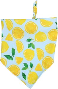 Vente en gros de <span class=keywords><strong>bandana</strong></span> personnalisé <span class=keywords><strong>pour</strong></span> chiens et animaux de compagnie, cadeau de taille réglable avec impression de logo, bon marché - Product Image 3