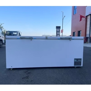 418L Double Door Supermarket Refrigerator 220V Deep Freezers <b>Fridges</b> Seafood Ice Display Cooling <b>Compressor</b> HF-040 Supermarket F - Product Image 6