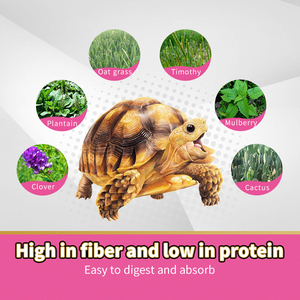 Thức Ăn Cho Động Vật Ngăn Ngừa Phồng Vỏ Rùa Có Hàm Lượng Chất Xơ Cao Và Hàm Lượng Protein Thấp Dễ Tiêu Hóa Và Hấp Thụ Thức Ăn Cho Rùa - Product Image 3