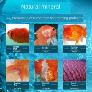 Hoogwaardige Grondstof Sterilisatie Zoutwater Aquariumbenodigdheden Verbeteren De Waterkwaliteit En Verminderen Bacteriën - Product Image 3