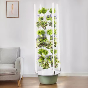 Attrezzatura Idroponica <span class=keywords><strong>per</strong></span> Coltivazione di Verdure con 36 Fori, <span class=keywords><strong>per</strong></span> Giardinaggio Domestico e Coltivazione Fuori Suolo - Product Image 1