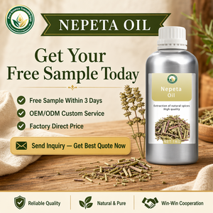 <span class=keywords><strong>Huile</strong></span> de Nepeta Cataria pure et naturelle, <span class=keywords><strong>huile</strong></span> de Nepeta <span class=keywords><strong>pour</strong></span> jouet <span class=keywords><strong>pour</strong></span> <span class=keywords><strong>chat</strong></span>, spray calmant <span class=keywords><strong>pour</strong></span> animaux de compagnie, aromathérapie, <span class=keywords><strong>répulsif</strong></span> anti-moustiques, qualité cosmétique - Product Image 6