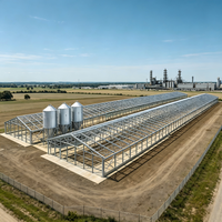 Structure de bâtiment en acier isolée en laine de roche ignifuge pour poulailler, pour une production avicole de haute sécurité en entrepôt
