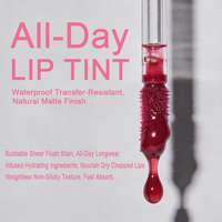 Gloss à lèvres mat non collant, teinte multi-usages pour lèvres et joues, waterproof, haute pigmentation, longue tenue, maquillage liquide pour les lèvres