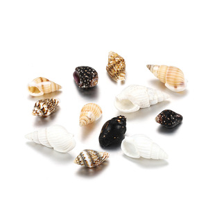 Natural Mini Seashell Craft Decorations White <b>Shell</b> Diy Home Decoration Eco Friendly Raw Material Yiwu Origin - Product Image 2