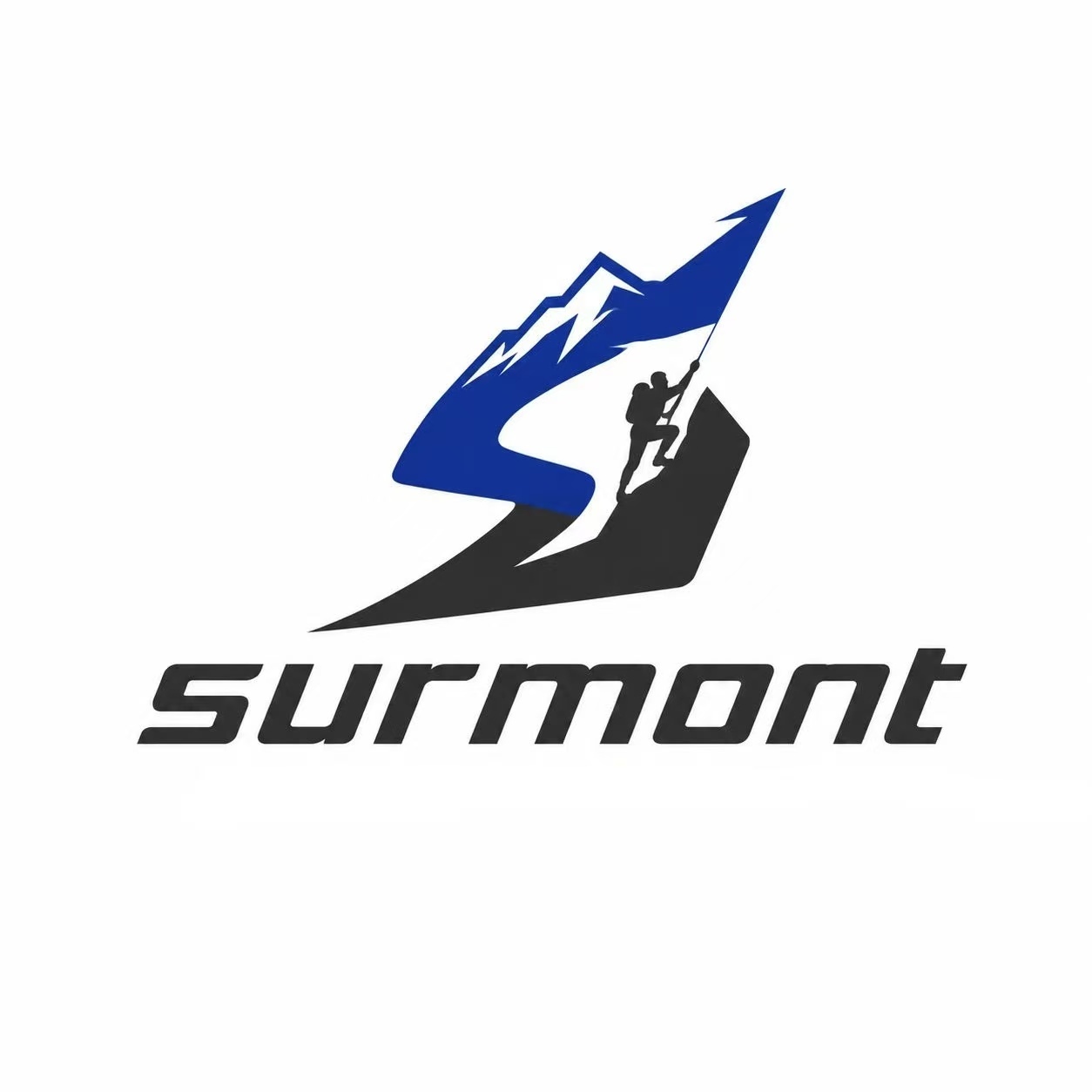 Qingdao Surmont Sports Goods Co., Ltd. logo