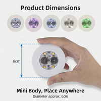 Sous-verres lumineux à LED en EVA et LED, autocollants scintillants pour tasses, pour bars, KTV et fêtes de Thanksgiving – Approvisionnement direct du fabricant