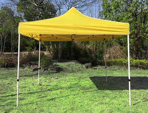 <span class=keywords><strong>Carpa</strong></span> de Lona 420D 600D 800D 1680D Personalizada, <span class=keywords><strong>Carpa</strong></span> Impermeable <span class=keywords><strong>6x3</strong></span> para Acampar al Aire Libre, <span class=keywords><strong>Carpa</strong></span> de Jardín 3x3 en Venta - Product Image 3