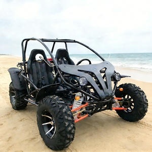 Buggy a benzina LNA da 200cc, raffreddato ad aria, 2WD, facile da guidare - Product Image 3