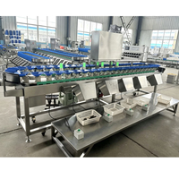 Automatische zeevruchten- en gewichtssorteermachine met draaibare lade voor pluimvee, fruit en groenten