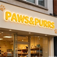 Lettres lumineuses LED personnalisées avec alimentation AC/DC pour les entreprises de publicité, les bars, les bâtiments - Utilisation directionnelle, multicolores, IP65