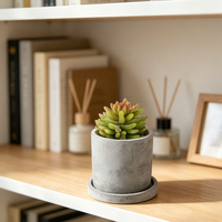Pot de fleurs cylindrique en béton texturé gris clair avec plateau assorti, mini pot à succulentes en ciment pour fenêtre de chambre, logo personnalisé