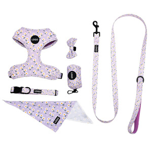 6-in-1 Reversible Oxford Dog Harness Set Adjustable Vest Collar Leash <b>Bow</b> Tie Custom OEM Factory Supply for Cats Made Rope - Product Image 2