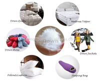 Vente en gros Fabriqué en Chine Oreiller en plumes de canard blanc lavable en duvet d'oie Remplissage intérieur