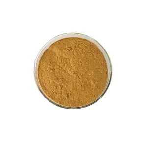 Chinese Supplier Organic Herbal Extract 3% Flavone Dandelion Root Extract Powder