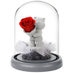 Carino Lightup orso cupola di vetro rosa conservato per sempre vera rosa fiore in vetro cupola di san valentino festa della mamma regalo di natale - Product Image 6