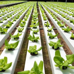Système hydroponique NFT en forme de A pour serre commerciale avec pompe à tuyau en PVC de qualité alimentaire pour la culture de fraises et de légumes-feuilles - Product Image 5