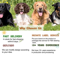 Échantillon de couche pour animaux de compagnie personnalisé bon prix couches pour chats couches pour chiens couches lavables réutilisables pour chien chat