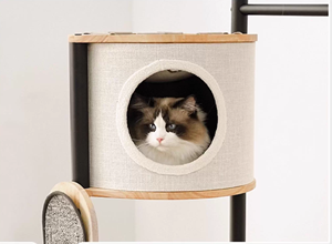 Arbre à chat multi-plateformes de luxe en acier carbone et bois d'hévéa avec tapis moelleux et condo pour animaux - Product Image 3