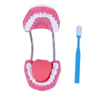 Modelo de Maniquí para Cuidado Dental, Material PVC, para Enseñanza en Escuelas Primarias y Secundarias, Simulación de Cepillado de Dientes