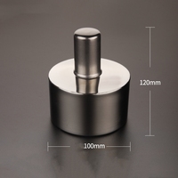 Lampes à alcool portables en acier inoxydable pour instruments dentaires et de laboratoire, 100ml, 200ml, 300ml, 450ml
