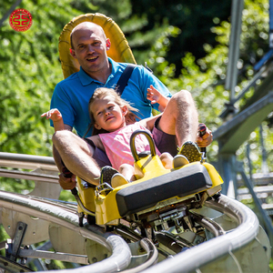 Défi commercial Longest Ride Single Rail Down Mountain Slide Roller Coaster - Product Image 5