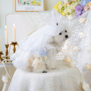 PETCIRCLE Ropa de Primavera/Verano para Mascotas, Conjuntos para Perros y Gatos, Diademas, Faldas de Tul Estilo Wonderland, Combinaciones - Product Image 1