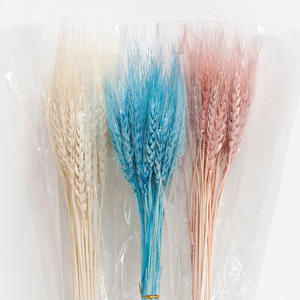 Bouquet <span class=keywords><strong>de</strong></span> fleurs <span class=keywords><strong>de</strong></span> <span class=keywords><strong>blé</strong></span> séchées Bouquet <span class=keywords><strong>d</strong></span>'<span class=keywords><strong>épi</strong></span> <span class=keywords><strong>de</strong></span> <span class=keywords><strong>blé</strong></span> Bouquet <span class=keywords><strong>d</strong></span>écoratif naturel Matériaux assortis Fleur sèche <span class=keywords><strong>d</strong></span>'<span class=keywords><strong>orge</strong></span> GH001 - Product Image 5