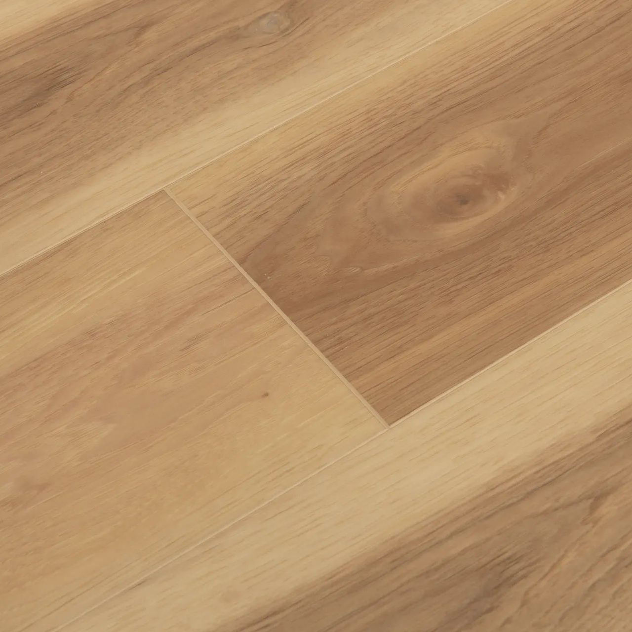 สีดำสีกากี