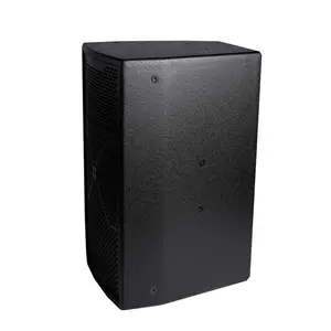 FE-10 single 10 inches all frequency speaker for high-class KTV private room acoustics professional audio sound system
