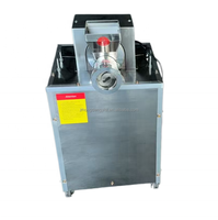 Machine Électrique Automatique pour Pâtes et Macaronis, Extrudeuse à Spaghetti et Nouilles Creuses, Pétrissage de Pâte