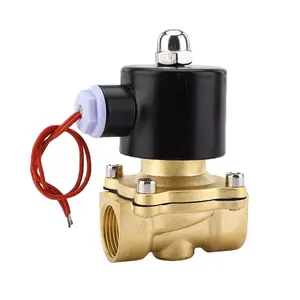 First Piece Special 1 / 4in-3in 2W Normally Closed Brass Two Way Water Solenoid Valve AC220V / AC110V / DC24V / DC12V