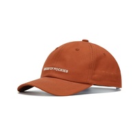 Gorra Profesional Personalizada y Cómoda de 6 Paneles con Visera Curva Bordada, 100% Algodón, para Estilo Urbano, Compatible con OEM y ODM