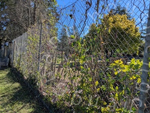 Grillage <span class=keywords><strong>en</strong></span> fil métallique galvanisé et enduit <span class=keywords><strong>de</strong></span> PVC, écologique et durable, pour clôtures <span class=keywords><strong>de</strong></span> terrains <span class=keywords><strong>de</strong></span> football, <span class=keywords><strong>de</strong></span> basketball et <span class=keywords><strong>de</strong></span> tennis - Product Image 6