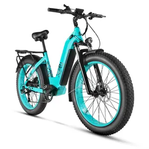 뚱뚱한 타이어 눈 Chenpe 모터 자전거 전자 자전거 전기 자전거 복고풍 오토바이 750w 자전거 산악 전기 자전거 Ebike
