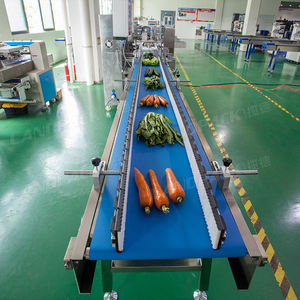 Landpack, автоматическая упаковочная машина для выращивания бобов, фруктов, свежих овощей, картофеля, упаковочная машина для подушек - Product Image 3